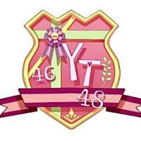 雾都YT48